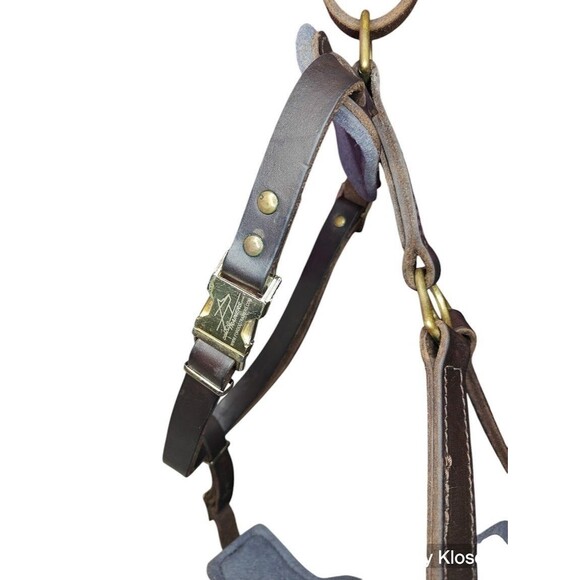 ForDogTrainers FDT H10 XL Leather Agitation Harness Brass Quick-Release Ret $170 - Picture 7 of 12